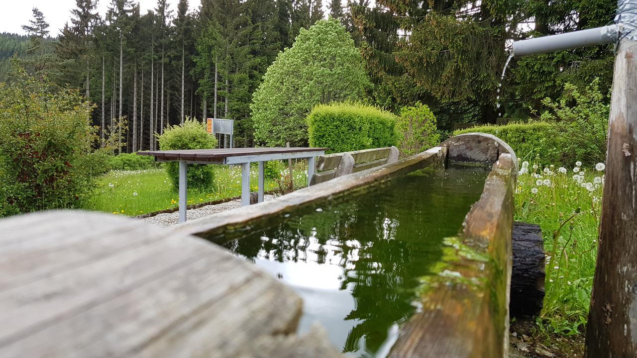 Roseggerhof Hotel Sankt Kathrein am Hauenstein Bagian luar foto